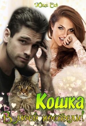 Обложка книги «Кошка в моей постели!» — Юлия Сай