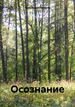 Обложка книги «Осознание» — Валерия Колыванова