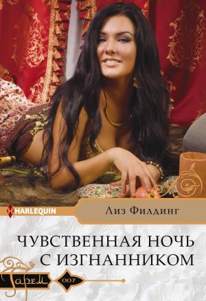 Обложка книги «Чувственная ночь с изгнанником» — Лиз Филдинг