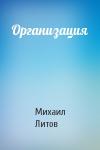 Михаил Литов - Организация