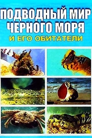 Обложка книги «Подводный мир Черного моря» — Евгения Искив