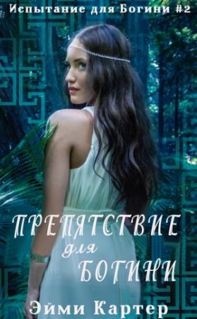 Обложка книги «Препятствие для Богини» — Эйми Картер
