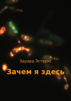Обложка книги «Зачем я здесь» — Эдуард Эстерис