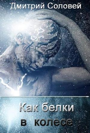 Обложка книги «Как белки в колесе» — Дмитрий Соловей