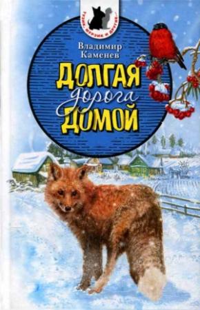 Обложка книги «Долгая дорога домой» — Владимир Каменев