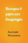 Анатолий Мельников - Находка в зарослях бандипура