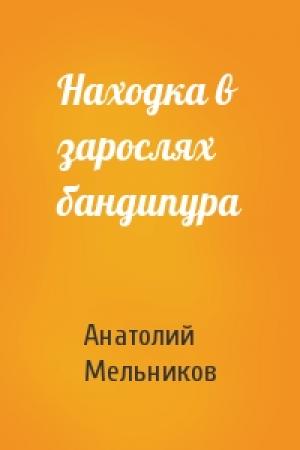 Обложка книги «Находка в зарослях бандипура» — Анатолий Мельников