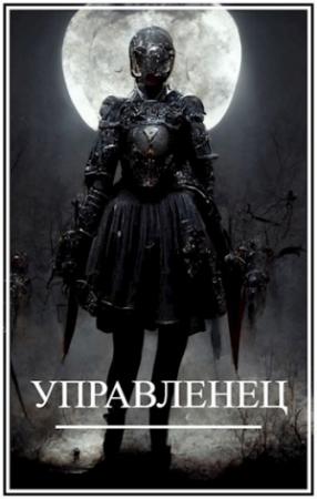 Обложка книги «Управленец» — Брамин Виланов