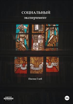 Обложка книги «Социальный эксперимент» — Глеб Пигин