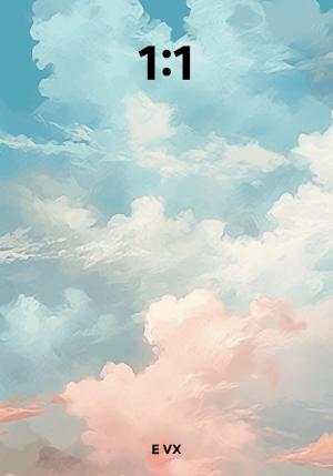 Обложка книги «1:1» — VX E