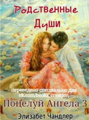 Обложка книги «Родственные души» — Элизабет Чэндлер