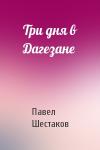 Павел Шестаков - Три дня в Дагезане