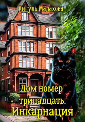 Обложка книги «Дом номер тринадцать. Инкарнация» — Айгуль Малахова