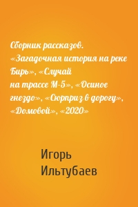 Сборник рассказов. «Загадочная история на реке Бирь», «Случай на трассе М-5», «Осиное гнездо», «Сюрприз в дорогу», «Домовой», «2020»