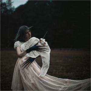 Обложка книги «Одинокая фея» — Ева Ли