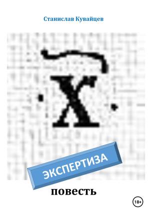 Обложка книги «Экспертиза» — Станислав Кувайцев