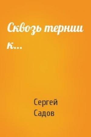 Обложка книги «Сквозь тернии к…» — Сергей Садов