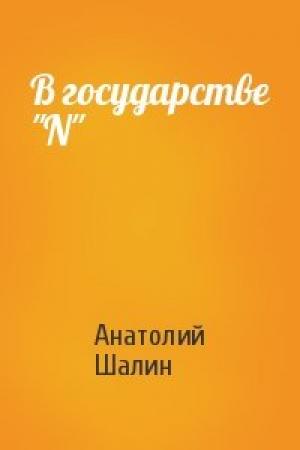 Обложка книги «В государстве "N"» — Анатолий Шалин
