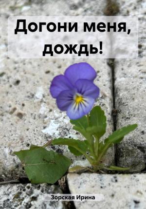 Обложка книги «Догони меня, дождь!» — Ирина Зорская