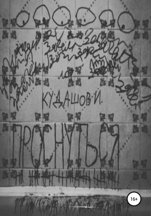 Обложка книги «Проснуться» — Илья Кудашов