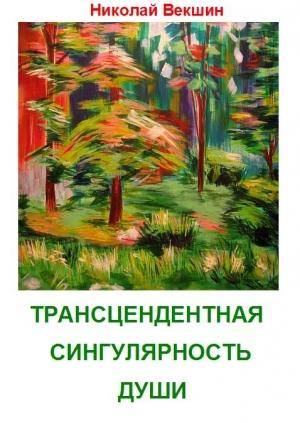 Обложка книги «Трансцендентная сингулярность души» — Николай Векшин