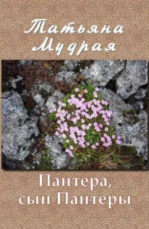 Обложка книги «Пантера, сын Пантеры» — Татьяна Мудрая