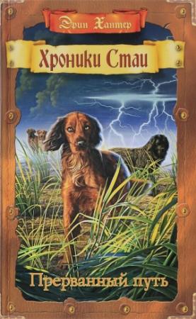 Обложка книги «Прерванный путь» — Эрин Хантер