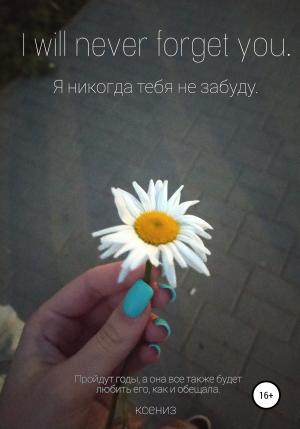 Обложка книги «Я никогда тебя не забуду» — Ксениз
