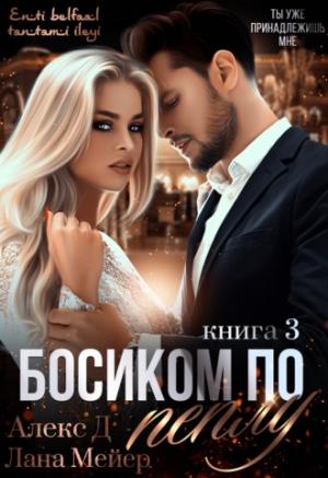 Обложка книги «Босиком по пеплу. Книга третья» — Лана Мейер, Алекс Д