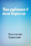 Константин Ушинский - Как рубашка в поле выросла