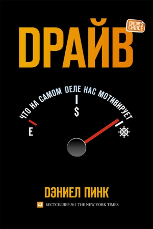 Обложка книги «Драйв: Что на самом деле нас мотивирует» — Дэниель Пинк
