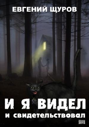 Обложка книги «И я видел и свидетельствовал» — Евгений Щуров