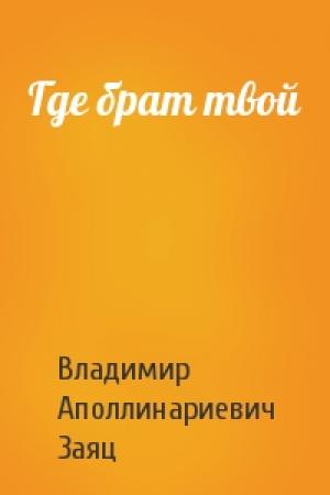Обложка книги «Где брат твой» — Владимир Заяц