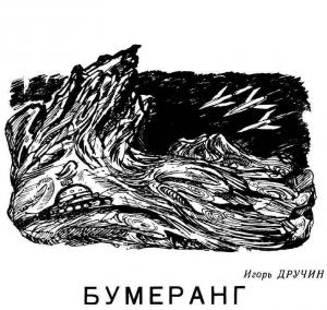Обложка книги «Бумеранг» — Игорь Дручин