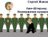 Сергей Жаков - Лже–Штирлиц: Низвержение кумира