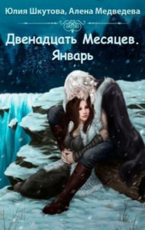 Обложка книги «Двенадцать месяцев. Январь» — Шкутова Юлия, Медведева Алена