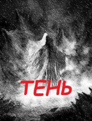 Обложка книги «Тень» — Александр Андреев