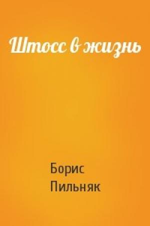 Обложка книги «Штосс в жизнь» — Борис Пильняк
