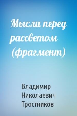 Обложка книги «Мысли перед рассветом (фрагмент)» — Владимир Николаевич Тростников