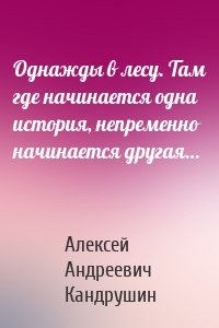 Однажды в лесу. Там где начинается одна история, непременно начинается другая…