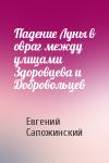 Евгений Сапожинский - Падение Луны в овраг между улицами Здоровцева и Добровольцев