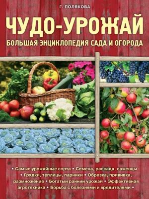 Обложка книги «Чудо-урожай. Большая энциклопедия сада и огорода» — Галина Полякова