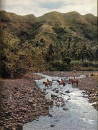 Бенгт Даниельссон - Гоген в Полинезии