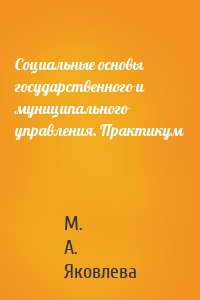 Социальные основы государственного и муниципального управления. Практикум