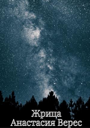 Обложка книги «Жрица» — Анастасия Верес