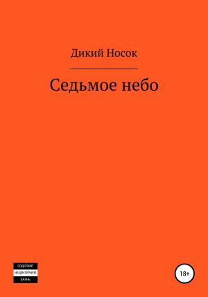 Обложка книги «Седьмое небо» — Дикий Носок