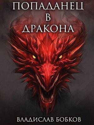 Обложка книги «Попаданец в Дракона (СИ)» — Владислав Бобков