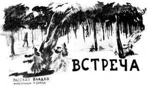 Обложка книги «Встреча» — Владимир Владко