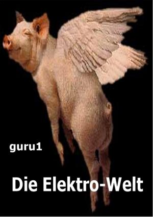 Обложка книги «Die Elektro-Welt» — guru1