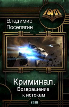 Обложка книги «Возвращение к истокам» — Владимир Поселягин